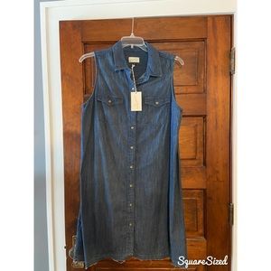 Universal Thread Denim Dress